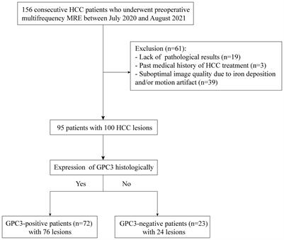 Reduced tumor stiffness quantified by tomoelastography as a predicative marker for glypican-3-positive hepatocellular carcinoma